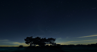 <i class='fa fa-user'></i>&nbsp;Eric Gibcus&nbsp;|  Grove  Den&nbsp; <i class='fa fa-eye'>&nbsp;109</i> &nbsp;<i class='fa fa-thumbs-up'>&nbsp;1</i> &nbsp; <i class='fa fa-comment-o'>&nbsp;5</i>