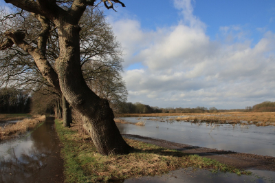 <i class='fa fa-user'></i>&nbsp;Tineke Strijbosch&nbsp;|  Nog net op het droge&nbsp; <i class='fa fa-eye'>&nbsp;106</i> &nbsp;<i class='fa fa-thumbs-up'>&nbsp;7</i> &nbsp; <i class='fa fa-comment-o'>&nbsp;13</i>