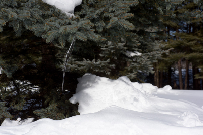 <i class='fa fa-user'></i>&nbsp;Jan Luit&nbsp;|  IJspegel&nbsp; <i class='fa fa-eye'>&nbsp;81</i> &nbsp; <i class='fa fa-comment-o'>&nbsp;1</i>