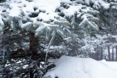 <i class='fa fa-user'></i>&nbsp;Jan Luit&nbsp;|  IJspegel&nbsp; <i class='fa fa-eye'>&nbsp;82</i> &nbsp; <i class='fa fa-comment-o'>&nbsp;4</i>