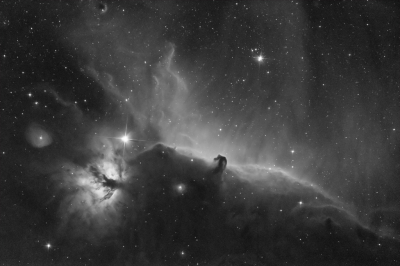 <i class='fa fa-user'></i>&nbsp;Adri Gr Nuelend&nbsp;|  Paardenkopnevel&nbsp; <i class='fa fa-eye'>&nbsp;153</i> &nbsp;<i class='fa fa-thumbs-up'>&nbsp;14</i> &nbsp; <i class='fa fa-comment-o'>&nbsp;19</i>