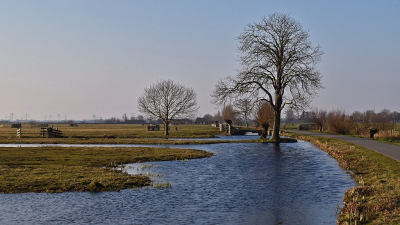 <i class='fa fa-user'></i>&nbsp;kooyammers&nbsp;|  Winterse Tiendweg&nbsp; <i class='fa fa-eye'>&nbsp;67</i> &nbsp;<i class='fa fa-thumbs-up'>&nbsp;2</i> &nbsp; <i class='fa fa-comment-o'>&nbsp;5</i>