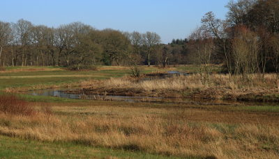 <i class='fa fa-user'></i>&nbsp;Tineke Strijbosch&nbsp;|  Het beekdal van het Oudemolense diep&nbsp; <i class='fa fa-eye'>&nbsp;53</i> &nbsp;<i class='fa fa-thumbs-up'>&nbsp;1</i> &nbsp; <i class='fa fa-comment-o'>&nbsp;2</i>