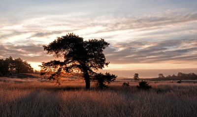 <i class='fa fa-user'></i>&nbsp;nelappelmelk&nbsp;|  Frisse zonsopkomst&nbsp; <i class='fa fa-eye'>&nbsp;100</i> &nbsp;<i class='fa fa-thumbs-up'>&nbsp;2</i> &nbsp; <i class='fa fa-comment-o'>&nbsp;5</i>