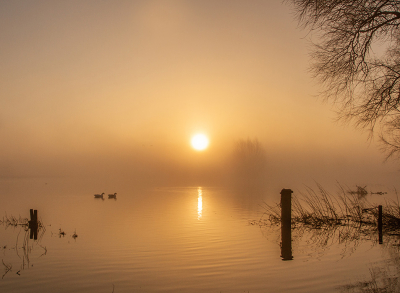 <i class='fa fa-user'></i>&nbsp;Tom&nbsp;|  IJssel bij Deventer&nbsp; <i class='fa fa-eye'>&nbsp;114</i> &nbsp;<i class='fa fa-thumbs-up'>&nbsp;11</i> &nbsp; <i class='fa fa-comment-o'>&nbsp;10</i>