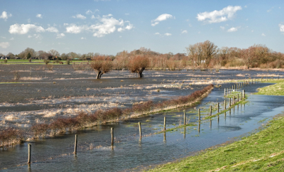 <i class='fa fa-user'></i>&nbsp;nelappelmelk&nbsp;|  Waterlandschap&nbsp; <i class='fa fa-eye'>&nbsp;105</i> &nbsp; <i class='fa fa-comment-o'>&nbsp;5</i>
