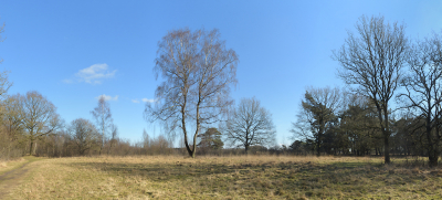 <i class='fa fa-user'></i>&nbsp;Hendrik van Kampen&nbsp;|  Delleboersterheide&nbsp; <i class='fa fa-eye'>&nbsp;83</i> &nbsp;<i class='fa fa-thumbs-up'>&nbsp;1</i> &nbsp; <i class='fa fa-comment-o'>&nbsp;1</i>