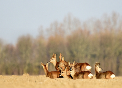 <i class='fa fa-user'></i>&nbsp;robert-jan&nbsp;|  Ree&nbsp; <i class='fa fa-eye'>&nbsp;118</i> &nbsp; <i class='fa fa-comment-o'>&nbsp;0</i>