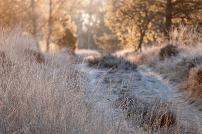 <i class='fa fa-user'></i>&nbsp;nelappelmelk&nbsp;|  Winters&nbsp; <i class='fa fa-eye'>&nbsp;95</i> &nbsp; <i class='fa fa-comment-o'>&nbsp;2</i>