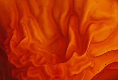 <i class='fa fa-user'></i>&nbsp;Cor&nbsp;|  Echt Judasoor&nbsp; <i class='fa fa-eye'>&nbsp;95</i> &nbsp;<i class='fa fa-thumbs-up'>&nbsp;1</i> &nbsp; <i class='fa fa-comment-o'>&nbsp;10</i>