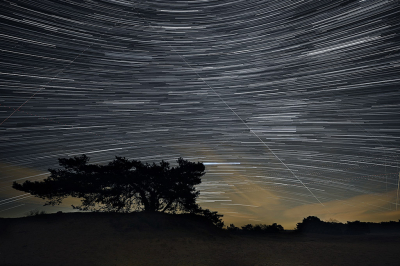 <i class='fa fa-user'></i>&nbsp;Eric Gibcus&nbsp;|  Grove  Den&nbsp; <i class='fa fa-eye'>&nbsp;111</i> &nbsp;<i class='fa fa-thumbs-up'>&nbsp;1</i> &nbsp; <i class='fa fa-comment-o'>&nbsp;2</i>