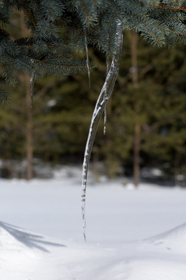 <i class='fa fa-user'></i>&nbsp;Jan Luit&nbsp;|  IJspegel&nbsp; <i class='fa fa-eye'>&nbsp;75</i> &nbsp; <i class='fa fa-comment-o'>&nbsp;3</i>