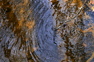 <i class='fa fa-user'></i>&nbsp;Nel R&nbsp;|  Draaikolk&nbsp; <i class='fa fa-eye'>&nbsp;72</i> &nbsp;<i class='fa fa-thumbs-up'>&nbsp;1</i> &nbsp; <i class='fa fa-comment-o'>&nbsp;1</i>