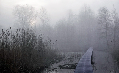 <i class='fa fa-user'></i>&nbsp;nelappelmelk&nbsp;|  Dikke mist&nbsp; <i class='fa fa-eye'>&nbsp;98</i> &nbsp;<i class='fa fa-thumbs-up'>&nbsp;2</i> &nbsp; <i class='fa fa-comment-o'>&nbsp;6</i>