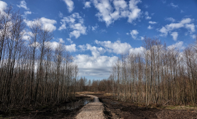 <i class='fa fa-user'></i>&nbsp;nelappelmelk&nbsp;|  Mooi weer in het Beekbergerwoud&nbsp; <i class='fa fa-eye'>&nbsp;75</i> &nbsp; <i class='fa fa-comment-o'>&nbsp;0</i>