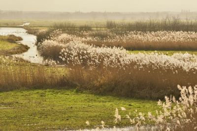 <i class='fa fa-user'></i>&nbsp;mauritskoenen48&nbsp;|  Tegenlicht Arkemheense polder&nbsp; <i class='fa fa-eye'>&nbsp;74</i> &nbsp; <i class='fa fa-comment-o'>&nbsp;1</i>