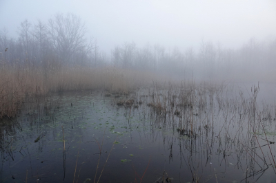 <i class='fa fa-user'></i>&nbsp;nelappelmelk&nbsp;|  Onverwachte mist&nbsp; <i class='fa fa-eye'>&nbsp;69</i> &nbsp; <i class='fa fa-comment-o'>&nbsp;2</i>