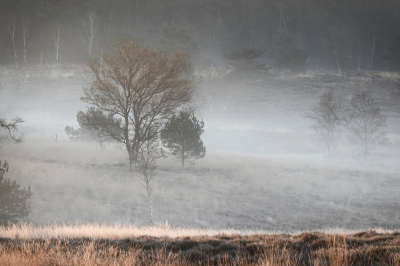 <i class='fa fa-user'></i>&nbsp;nelappelmelk&nbsp;|  Grondmist&nbsp; <i class='fa fa-eye'>&nbsp;107</i> &nbsp;<i class='fa fa-thumbs-up'>&nbsp;1</i> &nbsp; <i class='fa fa-comment-o'>&nbsp;7</i>