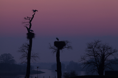 <i class='fa fa-user'></i>&nbsp;Adri Gr Nuelend&nbsp;|  IJssel&nbsp; <i class='fa fa-eye'>&nbsp;79</i> &nbsp;<i class='fa fa-thumbs-up'>&nbsp;1</i> &nbsp; <i class='fa fa-comment-o'>&nbsp;6</i>