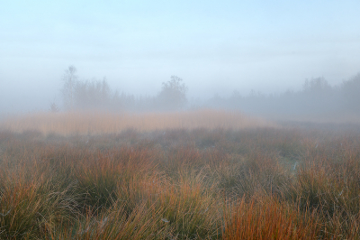 <i class='fa fa-user'></i>&nbsp;Hendrik van Kampen&nbsp;|  Wikelsl�n&nbsp; <i class='fa fa-eye'>&nbsp;75</i> &nbsp;<i class='fa fa-thumbs-up'>&nbsp;3</i> &nbsp; <i class='fa fa-comment-o'>&nbsp;2</i>