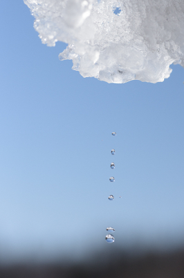 <i class='fa fa-user'></i>&nbsp;Jan Luit&nbsp;|  Smeltende Sneeuw&nbsp; <i class='fa fa-eye'>&nbsp;68</i> &nbsp; <i class='fa fa-comment-o'>&nbsp;1</i>