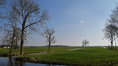 <i class='fa fa-user'></i>&nbsp;kooyammers&nbsp;|  Weilanden bij Schoonouwen&nbsp; <i class='fa fa-eye'>&nbsp;53</i> &nbsp;<i class='fa fa-thumbs-up'>&nbsp;2</i> &nbsp; <i class='fa fa-comment-o'>&nbsp;5</i>