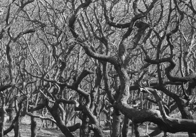 <i class='fa fa-user'></i>&nbsp;corbins&nbsp;|  Eiken&nbsp; <i class='fa fa-eye'>&nbsp;90</i> &nbsp;<i class='fa fa-thumbs-up'>&nbsp;3</i> &nbsp; <i class='fa fa-comment-o'>&nbsp;9</i>