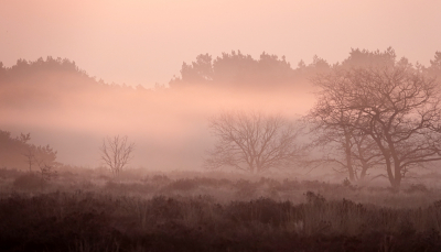 <i class='fa fa-user'></i>&nbsp;nelappelmelk&nbsp;|  Rode zon en mist&nbsp; <i class='fa fa-eye'>&nbsp;71</i> &nbsp;<i class='fa fa-thumbs-up'>&nbsp;2</i> &nbsp; <i class='fa fa-comment-o'>&nbsp;9</i>