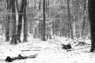 <i class='fa fa-user'></i>&nbsp;nelappelmelk&nbsp;|  Sneeuw&nbsp; <i class='fa fa-eye'>&nbsp;112</i> &nbsp;<i class='fa fa-thumbs-up'>&nbsp;1</i> &nbsp; <i class='fa fa-comment-o'>&nbsp;5</i>