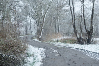 <i class='fa fa-user'></i>&nbsp;Hendrik van Kampen&nbsp;|  It Heechs�n, Borstlaan&nbsp; <i class='fa fa-eye'>&nbsp;122</i> &nbsp;<i class='fa fa-thumbs-up'>&nbsp;4</i> &nbsp; <i class='fa fa-comment-o'>&nbsp;8</i>