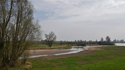 <i class='fa fa-user'></i>&nbsp;kooyammers&nbsp;|  De Bol Lopik&nbsp; <i class='fa fa-eye'>&nbsp;51</i> &nbsp;<i class='fa fa-thumbs-up'>&nbsp;2</i> &nbsp; <i class='fa fa-comment-o'>&nbsp;1</i>