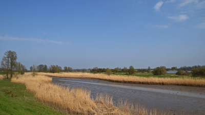 <i class='fa fa-user'></i>&nbsp;kooyammers&nbsp;|  Binnenlek&nbsp; <i class='fa fa-eye'>&nbsp;50</i> &nbsp;<i class='fa fa-thumbs-up'>&nbsp;2</i> &nbsp; <i class='fa fa-comment-o'>&nbsp;1</i>