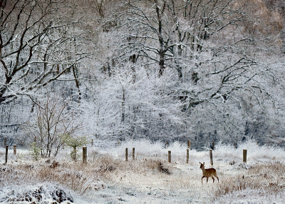 <i class='fa fa-user'></i>&nbsp;robert-jan&nbsp;|  Ree&nbsp; <i class='fa fa-eye'>&nbsp;150</i> &nbsp;<i class='fa fa-thumbs-up'>&nbsp;6</i> &nbsp; <i class='fa fa-comment-o'>&nbsp;7</i>