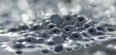 <i class='fa fa-user'></i>&nbsp;Bertus&nbsp;|  Heikikker&nbsp; <i class='fa fa-eye'>&nbsp;110</i> &nbsp;<i class='fa fa-thumbs-up'>&nbsp;12</i> &nbsp; <i class='fa fa-comment-o'>&nbsp;7</i>