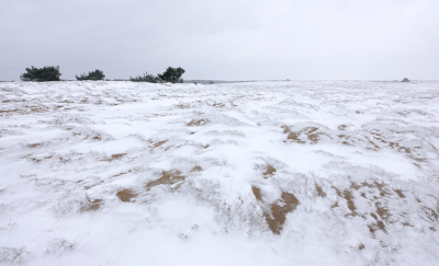 <i class='fa fa-user'></i>&nbsp;nelappelmelk&nbsp;|  Alleen op de wereld&nbsp; <i class='fa fa-eye'>&nbsp;97</i> &nbsp; <i class='fa fa-comment-o'>&nbsp;4</i>