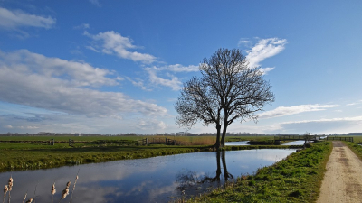 <i class='fa fa-user'></i>&nbsp;kooyammers&nbsp;|  Van de Vlist naar Hoenkoop&nbsp; <i class='fa fa-eye'>&nbsp;53</i> &nbsp;<i class='fa fa-thumbs-up'>&nbsp;1</i> &nbsp; <i class='fa fa-comment-o'>&nbsp;1</i>