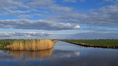 <i class='fa fa-user'></i>&nbsp;kooyammers&nbsp;|  Molensloot Groot Keulevaart&nbsp; <i class='fa fa-eye'>&nbsp;69</i> &nbsp;<i class='fa fa-thumbs-up'>&nbsp;2</i> &nbsp; <i class='fa fa-comment-o'>&nbsp;5</i>