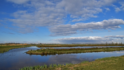 <i class='fa fa-user'></i>&nbsp;kooyammers&nbsp;|  Vogelplas Groot Keulevaart&nbsp; <i class='fa fa-eye'>&nbsp;62</i> &nbsp;<i class='fa fa-thumbs-up'>&nbsp;2</i> &nbsp; <i class='fa fa-comment-o'>&nbsp;4</i>