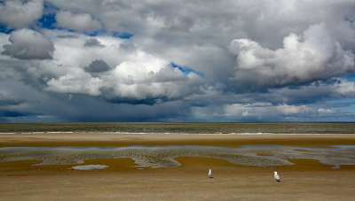 <i class='fa fa-user'></i>&nbsp;Pieter  LJ&nbsp;|  Buien aan zee&nbsp; <i class='fa fa-eye'>&nbsp;121</i> &nbsp;<i class='fa fa-thumbs-up'>&nbsp;10</i> &nbsp; <i class='fa fa-comment-o'>&nbsp;7</i>