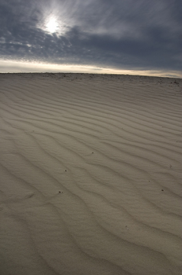 <i class='fa fa-user'></i> Martin van der Giesen | Loonse en Drunense duinen  <i class='fa fa-eye'> 172</i>   <i class='fa fa-comment-o'> 5</i>