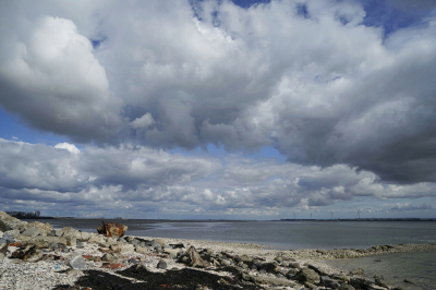 <i class='fa fa-user'></i>&nbsp;Nel R&nbsp;|  Wolken en water&nbsp; <i class='fa fa-eye'>&nbsp;94</i> &nbsp;<i class='fa fa-thumbs-up'>&nbsp;1</i> &nbsp; <i class='fa fa-comment-o'>&nbsp;4</i>