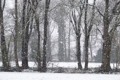 <i class='fa fa-user'></i>&nbsp;David&nbsp;|  Sneeuwlandschap&nbsp; <i class='fa fa-eye'>&nbsp;82</i> &nbsp;<i class='fa fa-thumbs-up'>&nbsp;3</i> &nbsp; <i class='fa fa-comment-o'>&nbsp;7</i>