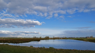 <i class='fa fa-user'></i>&nbsp;kooyammers&nbsp;|  Vogelplas Groot Keulevaart 2&nbsp; <i class='fa fa-eye'>&nbsp;68</i> &nbsp;<i class='fa fa-thumbs-up'>&nbsp;2</i> &nbsp; <i class='fa fa-comment-o'>&nbsp;2</i>