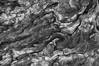 <i class='fa fa-user'></i>&nbsp;Adri Gr Nuelend&nbsp;|  Warrelknoest&nbsp; <i class='fa fa-eye'>&nbsp;86</i> &nbsp;<i class='fa fa-thumbs-up'>&nbsp;4</i> &nbsp; <i class='fa fa-comment-o'>&nbsp;12</i>