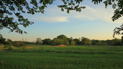 <i class='fa fa-user'></i>&nbsp;Tineke Strijbosch&nbsp;|  Avondlandschap&nbsp; <i class='fa fa-eye'>&nbsp;66</i> &nbsp;<i class='fa fa-thumbs-up'>&nbsp;1</i> &nbsp; <i class='fa fa-comment-o'>&nbsp;4</i>