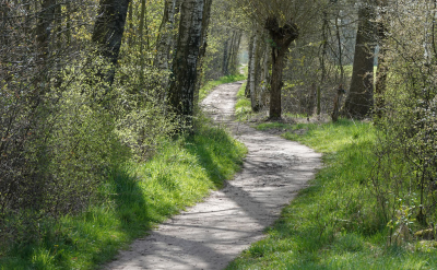 <i class='fa fa-user'></i>&nbsp;nelappelmelk&nbsp;|  Lentegroen&nbsp; <i class='fa fa-eye'>&nbsp;97</i> &nbsp;<i class='fa fa-thumbs-up'>&nbsp;3</i> &nbsp; <i class='fa fa-comment-o'>&nbsp;7</i>