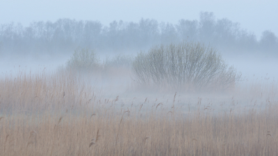 <i class='fa fa-user'></i>&nbsp;Hendrik van Kampen&nbsp;|  Fjirtich m�d&nbsp; <i class='fa fa-eye'>&nbsp;70</i> &nbsp;<i class='fa fa-thumbs-up'>&nbsp;2</i> &nbsp; <i class='fa fa-comment-o'>&nbsp;6</i>