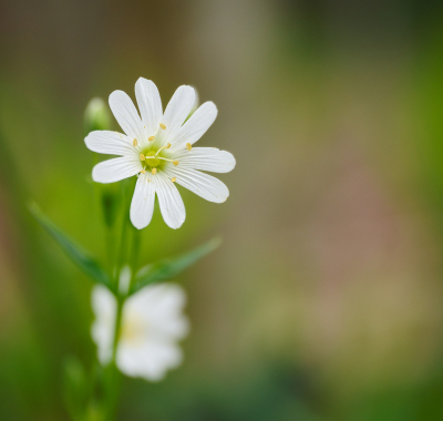 <i class='fa fa-user'></i>&nbsp;janvangastel&nbsp;|  Grote Muur&nbsp; <i class='fa fa-eye'>&nbsp;52</i> &nbsp;<i class='fa fa-thumbs-up'>&nbsp;1</i> &nbsp; <i class='fa fa-comment-o'>&nbsp;0</i>