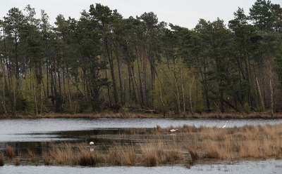 <i class='fa fa-user'></i>&nbsp;Ben Aalders&nbsp;|  Dwingelderveld&nbsp; <i class='fa fa-eye'>&nbsp;67</i> &nbsp;<i class='fa fa-thumbs-up'>&nbsp;1</i> &nbsp; <i class='fa fa-comment-o'>&nbsp;0</i>