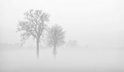 <i class='fa fa-user'></i>&nbsp;nelappelmelk&nbsp;|  Zwevende bomen&nbsp; <i class='fa fa-eye'>&nbsp;83</i> &nbsp;<i class='fa fa-thumbs-up'>&nbsp;2</i> &nbsp; <i class='fa fa-comment-o'>&nbsp;5</i>